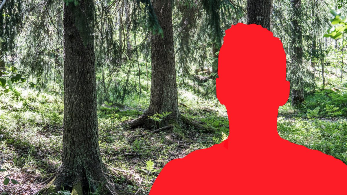 En pojke rånades och förnedrades i skogen i Ludvika.
